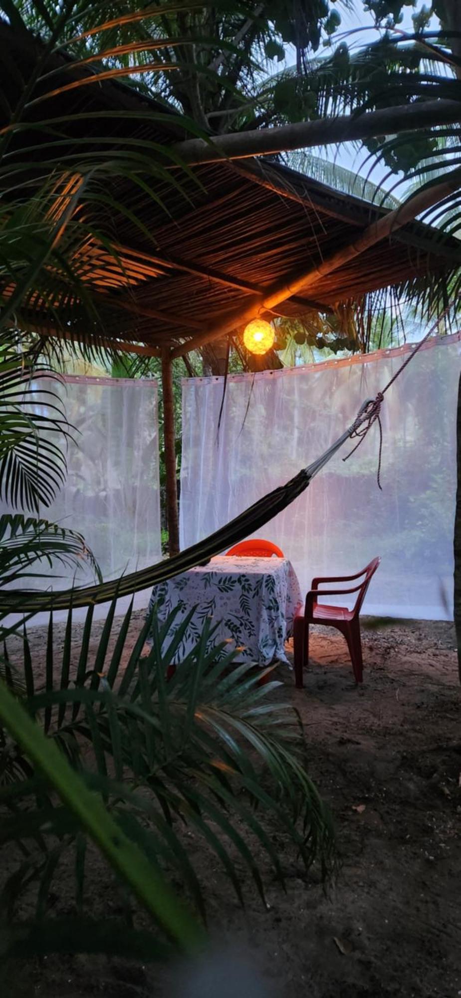 Nueva Onda Bed and Breakfast Palomino Buitenkant foto